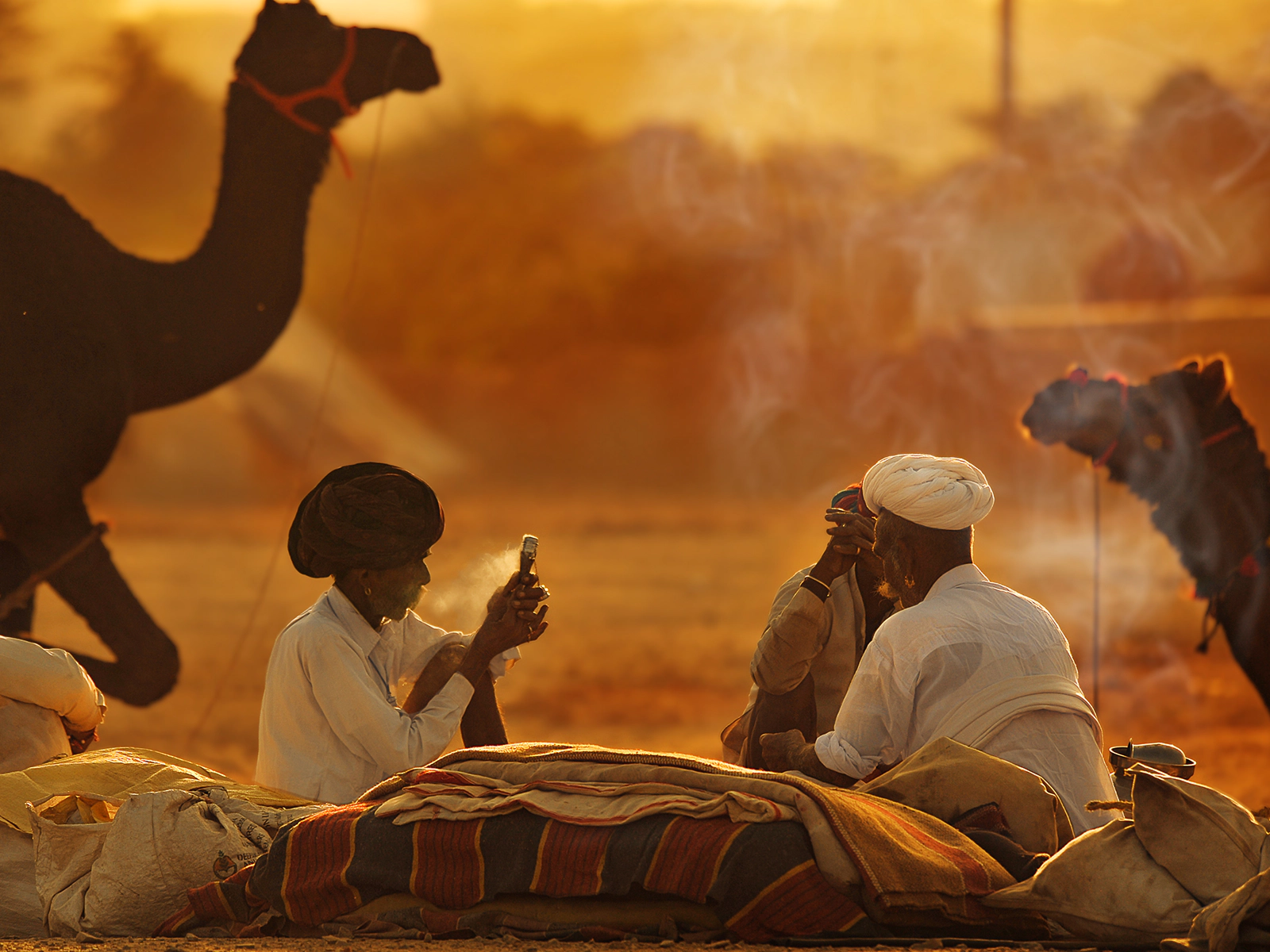 Photograph from Pushkar, Rajasthan